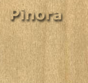 Pinora